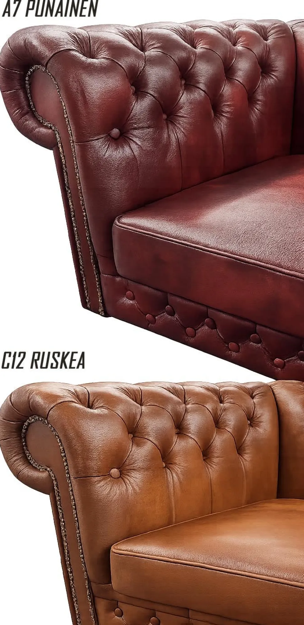 CHESTERFIELD LORD 1 IST 110 CM