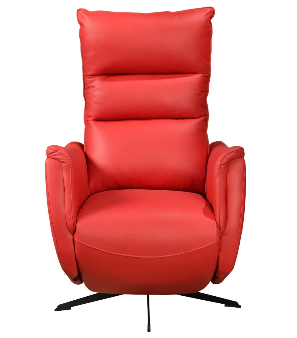 GENESIS NAHKAINEN RECLINER TUOLI SÄHKÖSÄÄDÖILLÄ, ERI VÄREJÄ