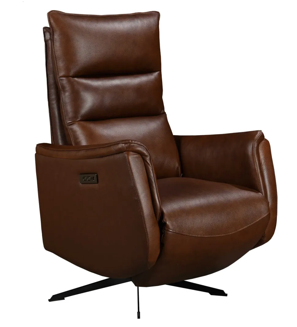 GENESIS NAHKAINEN RECLINER TUOLI SÄHKÖSÄÄDÖILLÄ, ERI VÄREJÄ