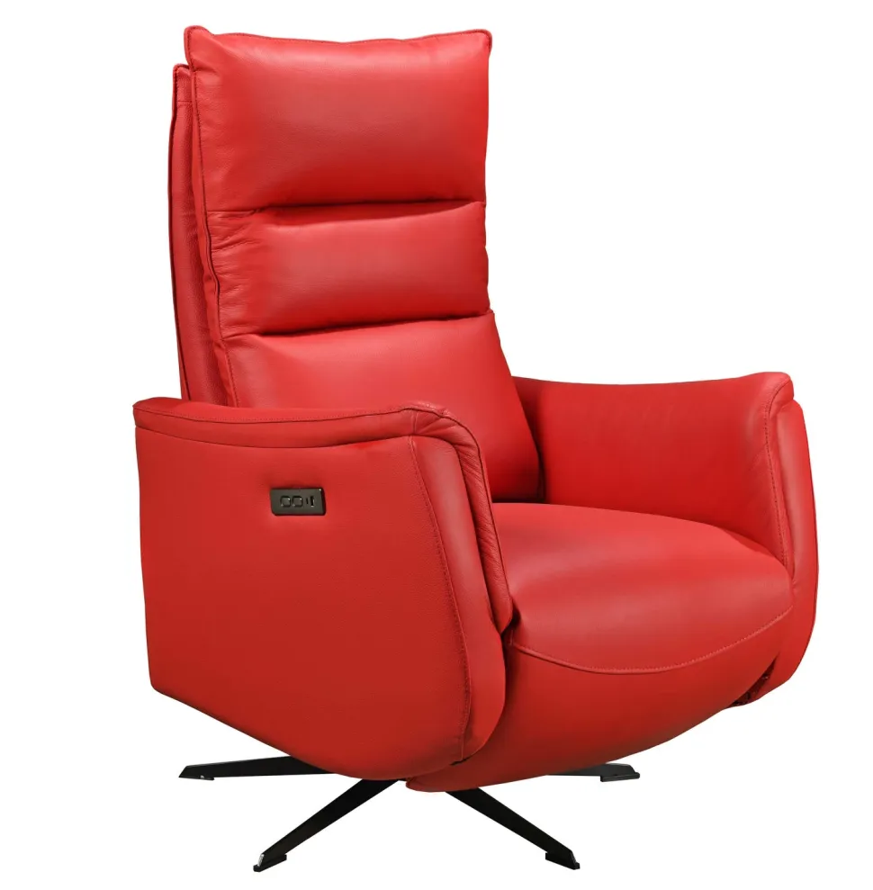 GENESIS NAHKAINEN RECLINER TUOLI SÄHKÖSÄÄDÖILLÄ, ERI VÄREJÄ