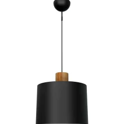 LOG-20/30 KATTOVALAISIN