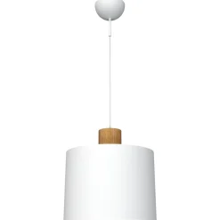 LOG-20/30 KATTOVALAISIN